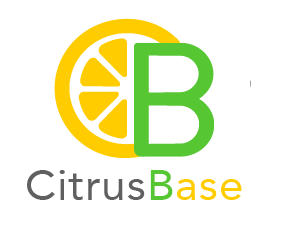 Citrus Base